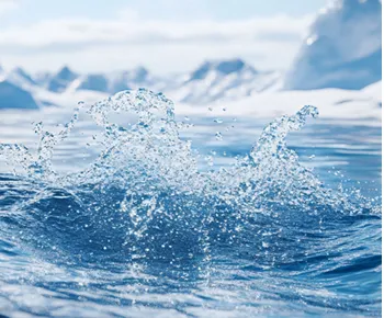 海水